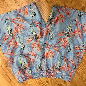 Peter Millar Swim Trunks Mens Large Blue Mesh Lined